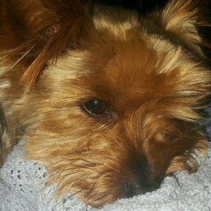 Meet your Posher, Deborah